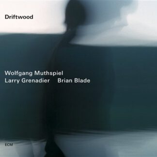 Wolfgang Muthspiel - Driftwood