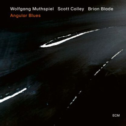 Wolfgang Muthspiel - Angular Blues