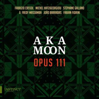 AKA Moon - Beethoven: Opus 111