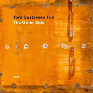Thord Gustavsen trio - The Other Side