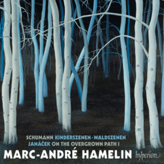 Marc-André Hamelin - Janácek / Schumann - Kinderszenen & Waldszenen / On the overgrown path 1