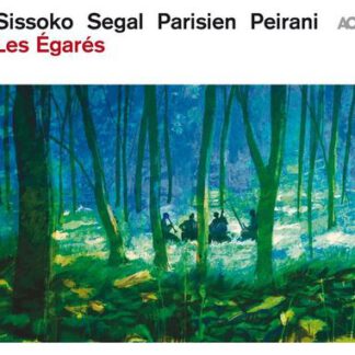 Ballaké Sissoko - Les Égarés (de förlorade)