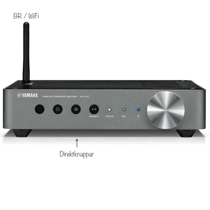 Yamaha MusicCast WXA-50
