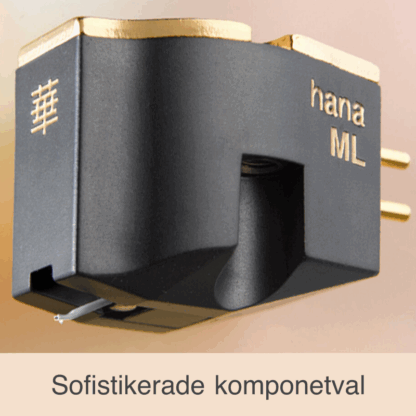 Hana ML & MH